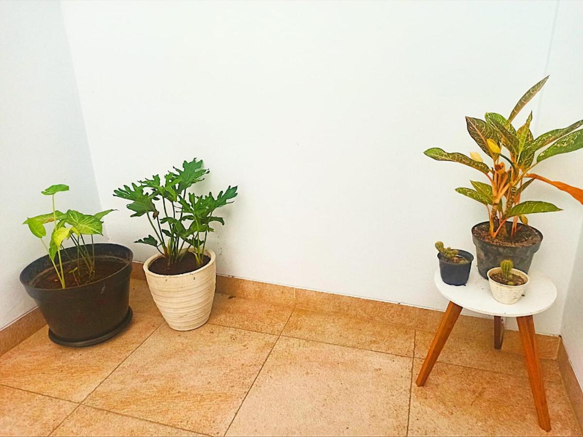Loka Anyar Guest House Kerobokan Екстериор снимка
